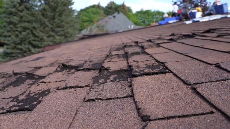 Best Emergency Roof Repair Services  in Oakridge, OR