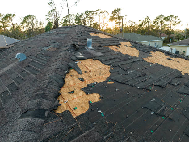 Best Steel Roofing  in Oakridge, OR